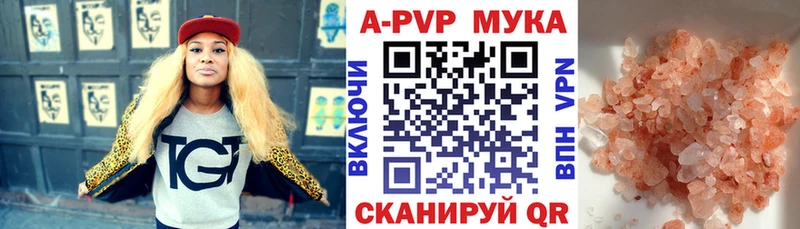 Alfa_PVP СК  где купить наркоту  Суджа 