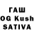 Галлюциногенные грибы Psilocybine cubensis Alekc Smolin