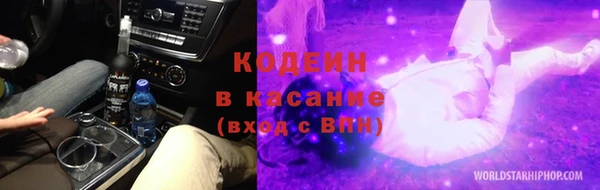 мет Алексин