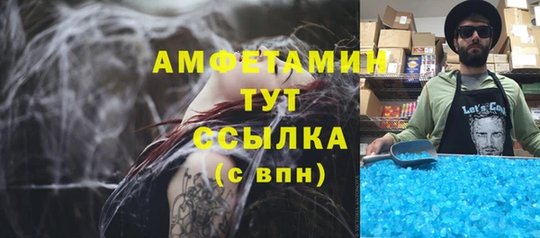 мет Алексин