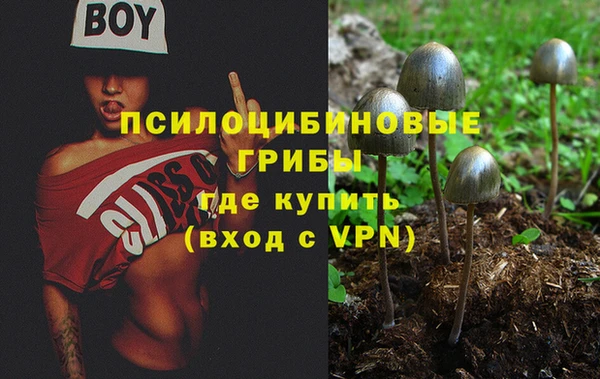 ALPHA PVP Алзамай