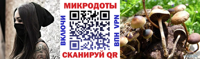 Псилоцибиновые грибы прущие грибы  цена наркотик  Суджа 