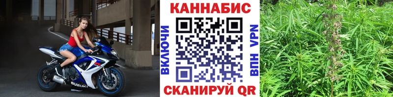 Канабис семена  hydra tor  Суджа 